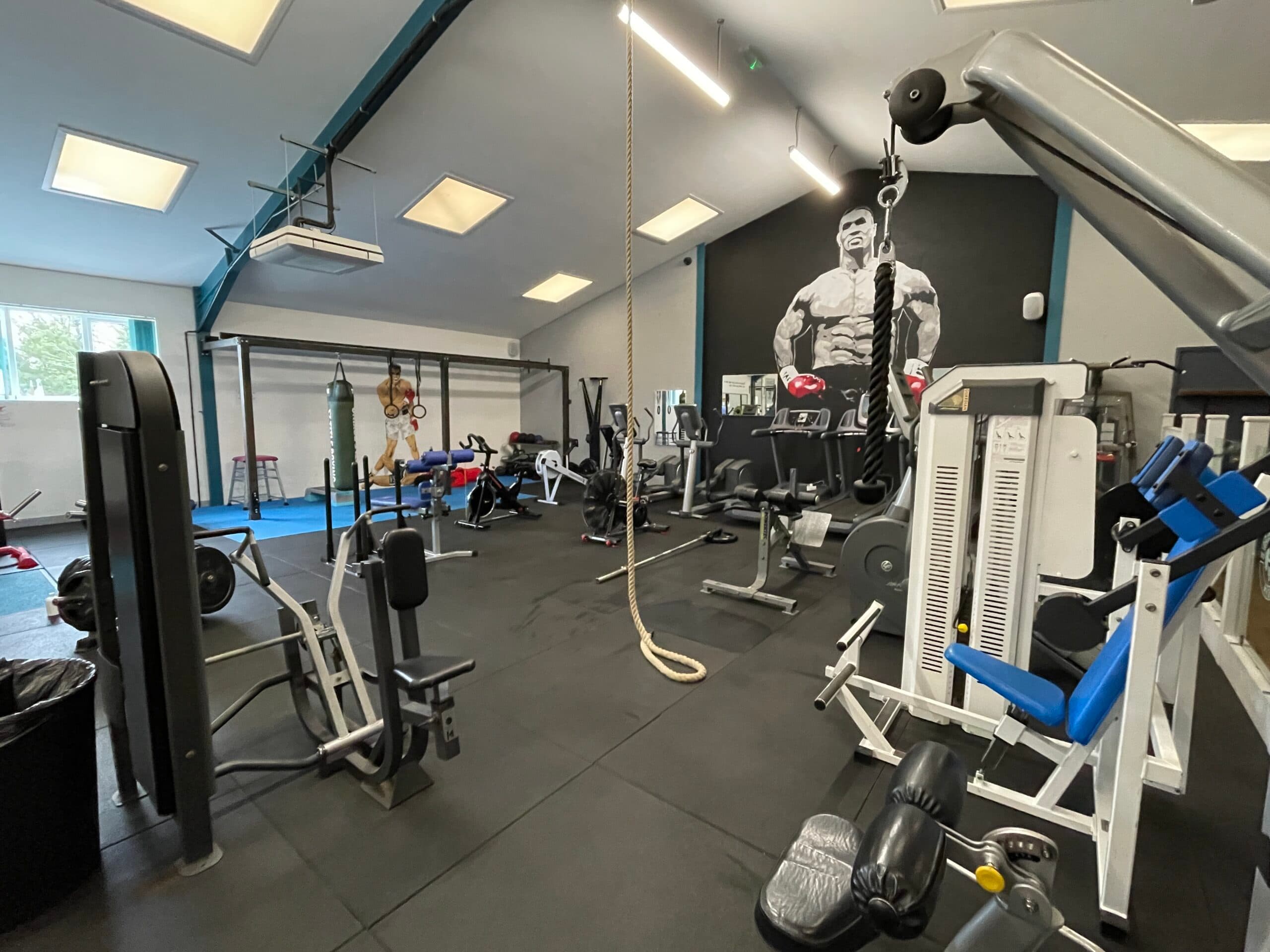 Adult gym membership